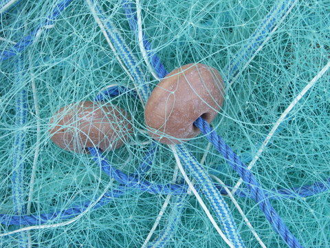 filet peche vert