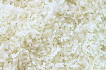 Cooked jasmine rice