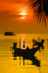 Sunset with palm and boats on tropical beach - 23786200