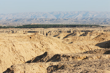Arava desert in the first rays of the sun