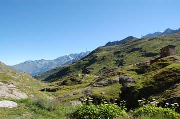 Fototapeta premium Grosser St. Bernhard Pass