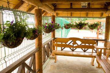 Green plants in flower pots on porch
