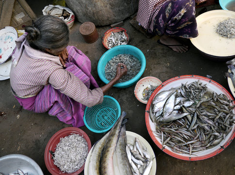 Fischhändlerin in Burma