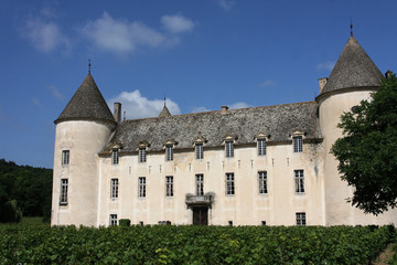 Fototapeta na wymiar Chateau de Savigny-les-Beaune