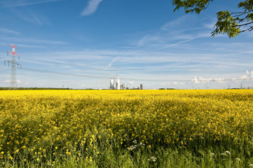 Industrie im Rapsfeld