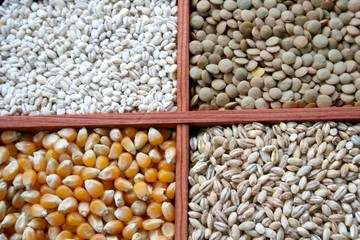 Mais,Gerste,Rollgerste,Linsen