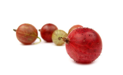 Red gooseberries