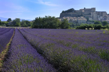 Fotobehang Château de Grignan en zijn lavendelvelden © asaflow