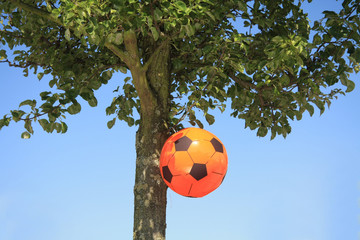 Dutch soccer decoration