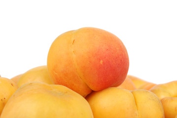 apricot