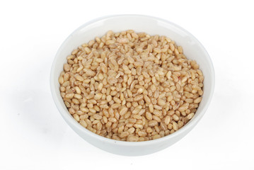 wheat seeds in bowl