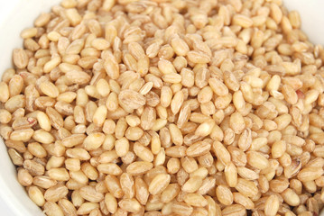 wheat seeds in bowl