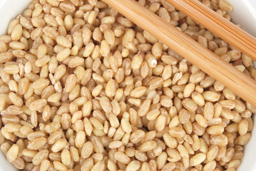 wheat seeds