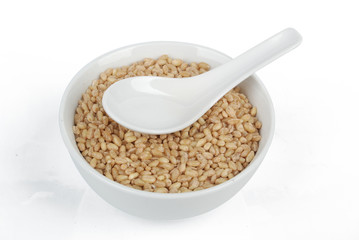 wheat seeds in bowl