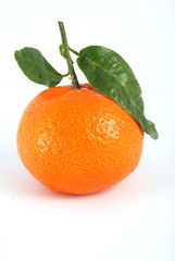 Tangerine