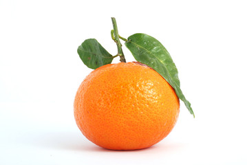 Tangerine