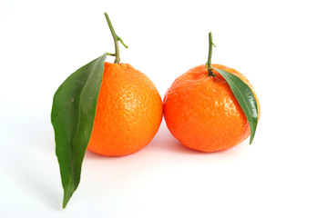 Tangerine