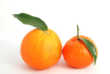 Tangerine