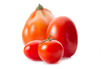 variety of tomatoes - varieta' di pomodori