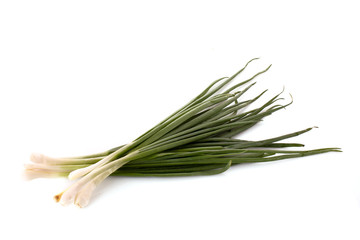 Green onion isolated on white