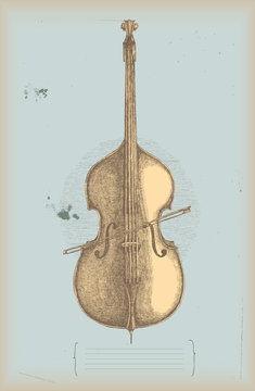 Double bass drawing - music instrument