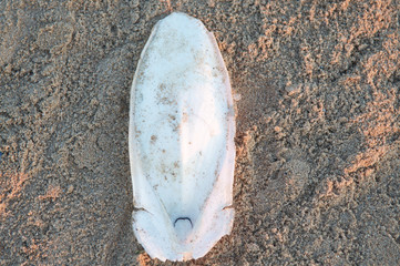 Seiche os