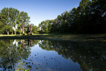 Obraz premium Trees reflect off the water.
