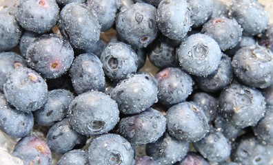 Blaubeeren