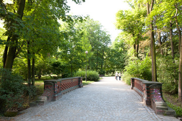 Park in spring time