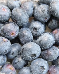 Heidelbeeren