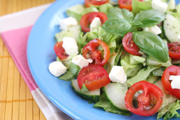 frischer salat