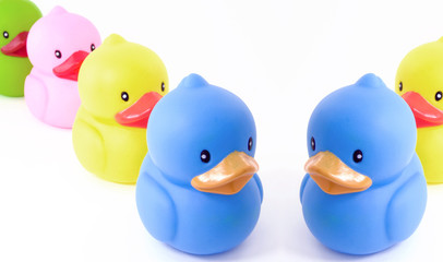 plastic ducks