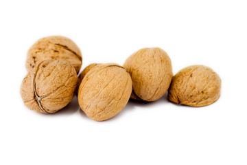 walnut