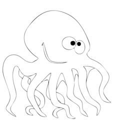 octopus