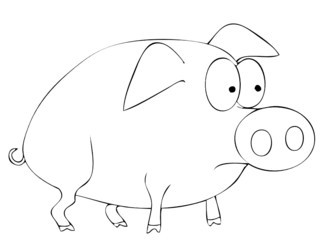 pig