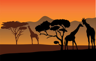 Plakat african landscape