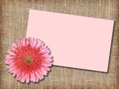 One pink flower with message-card