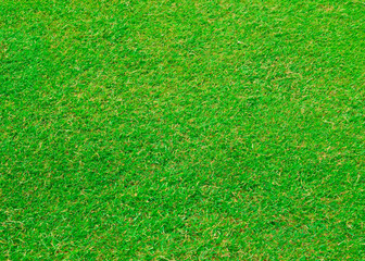 Fototapeta premium Golf cource background
