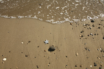 Fototapeta na wymiar a background image of starfish and pebble stones