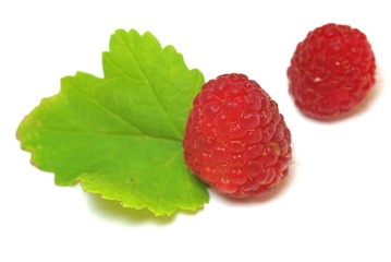Framboise