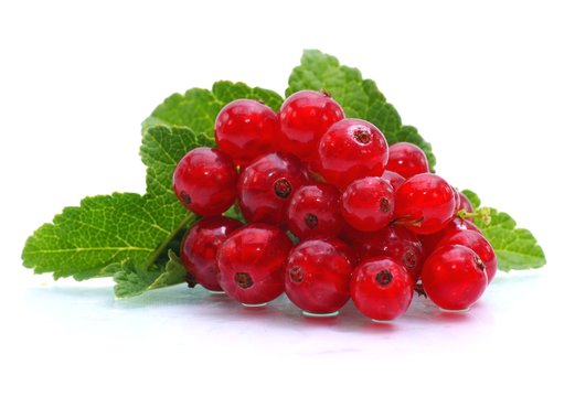 Johannisbeeren