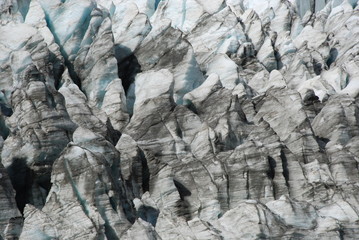 Fox Glacier - Fox Gletscher in Neuseeland