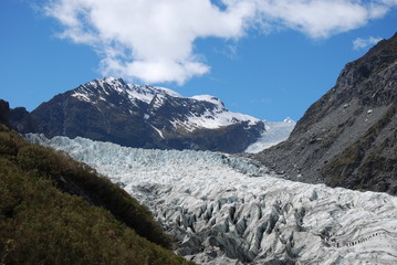 Fox Glacier - Fox Gletscher in Neuseeland