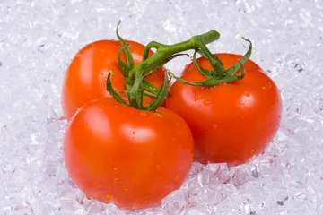 Plexiglas foto achterwand Tomaten op ijs © plotnik