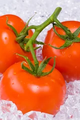 Foto auf Leinwand Tomaten auf Eis © plotnik