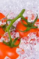 Küchenrückwand glas motiv Tomaten auf Eis © plotnik