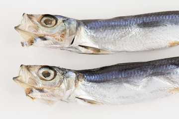 イワシの干し物2