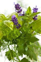Herbs