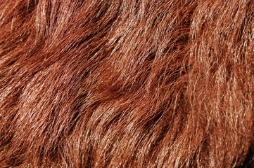 Artificial fur