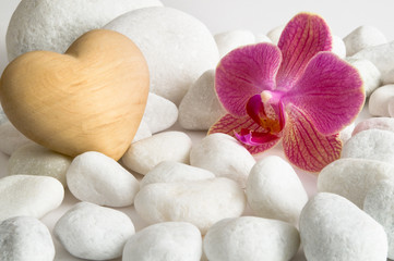 Fototapeta na wymiar Orideenblüte, Herz und weiße Kieselsteine